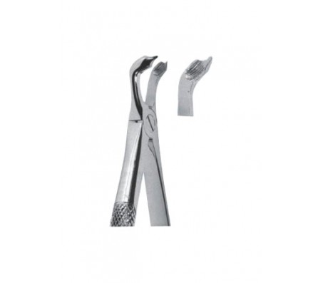 Extracting Forceps